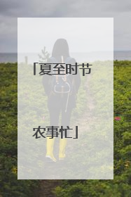 夏至时节农事忙
