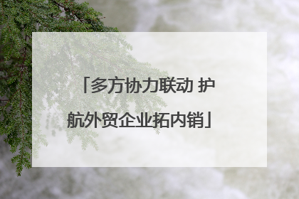 多方协力联动 护航外贸企业拓内销