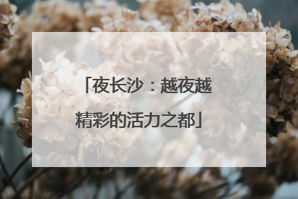 夜长沙：越夜越精彩的活力之都