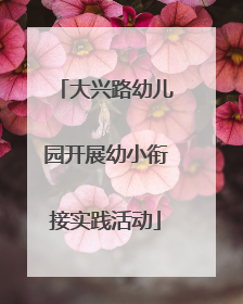 大兴路幼儿园开展幼小衔接实践活动