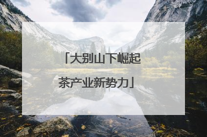 大别山下崛起茶产业新势力