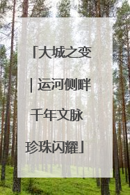 大城之变｜运河侧畔 千年文脉珍珠闪耀