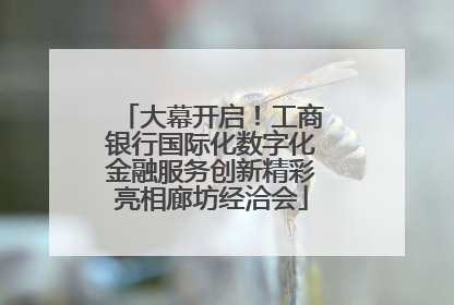 大幕开启！工商银行国际化数字化金融服务创新精彩亮相廊坊经洽会