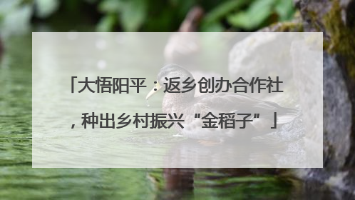 大悟阳平：返乡创办合作社，种出乡村振兴“金稻子”