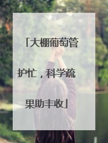 大棚葡萄管护忙，科学疏果助丰收