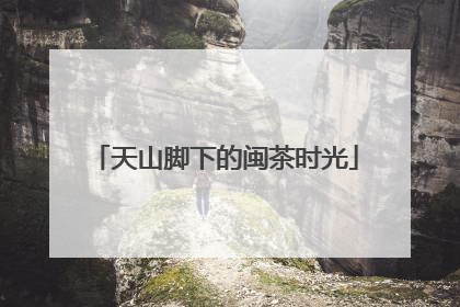 天山脚下的闽茶时光