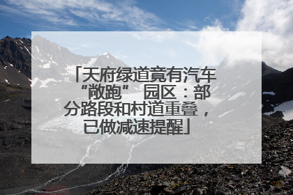 天府绿道竟有汽车“敞跑” 园区：部分路段和村道重叠，已做减速提醒