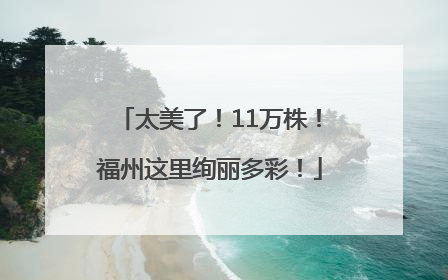 太美了！11万株！福州这里绚丽多彩！