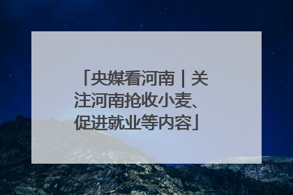 央媒看河南｜关注河南抢收小麦、促进就业等内容