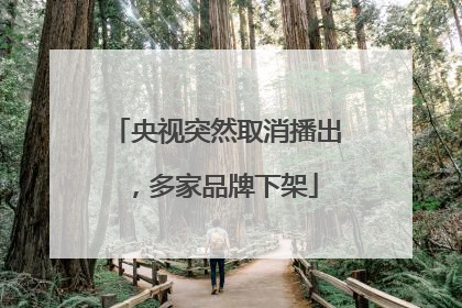 央视突然取消播出，多家品牌下架