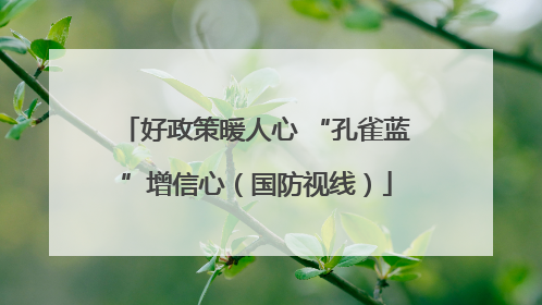 好政策暖人心 “孔雀蓝”增信心（国防视线）