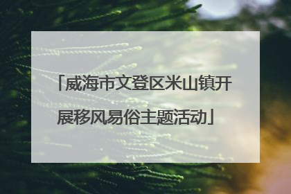 威海市文登区米山镇开展移风易俗主题活动