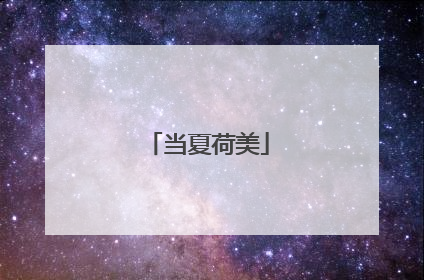 当夏荷美
