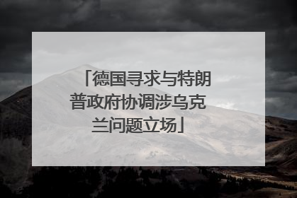 德国寻求与特朗普政府协调涉乌克兰问题立场