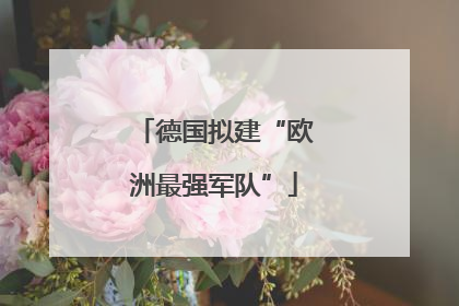 德国拟建“欧洲最强军队”