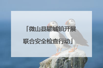 微山县驩城镇开展联合安全检查行动