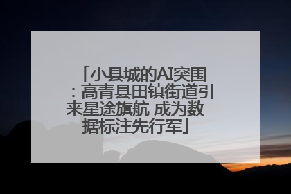 小县城的AI突围：高青县田镇街道引来星途旗航 成为数据标注先行军