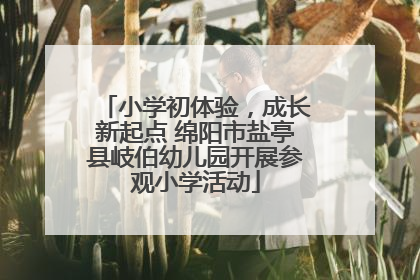 小学初体验，成长新起点 绵阳市盐亭县岐伯幼儿园开展参观小学活动