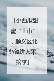 小西瓜甜蜜“上市”，顺义区北务镇进入采摘季