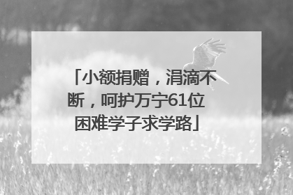 小额捐赠，涓滴不断，呵护万宁61位困难学子求学路