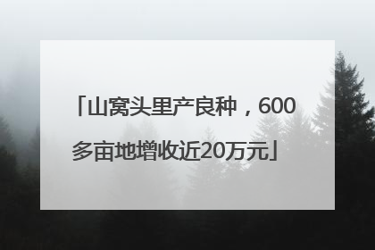 山窝头里产良种，600多亩地增收近20万元