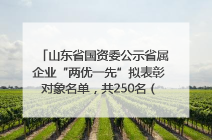 山东省国资委公示省属企业“两优一先”拟表彰对象名单，共250名（个）党员和党组织