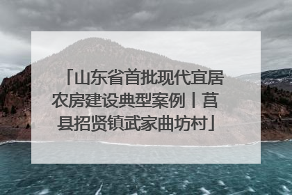 山东省首批现代宜居农房建设典型案例丨莒县招贤镇武家曲坊村