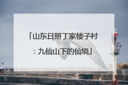 山东日照丁家楼子村：九仙山下的仙境