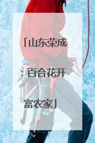 山东荣成：百合花开富农家