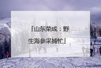 山东荣成：野生海参采捕忙