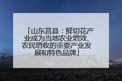 山东莒县：鲜切花产业成为当地农业增效、农民增收的重要产业发展和特色品牌