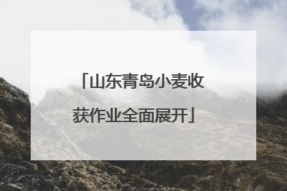 山东青岛小麦收获作业全面展开
