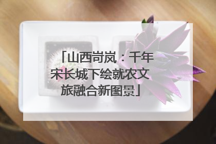 山西岢岚：千年宋长城下绘就农文旅融合新图景