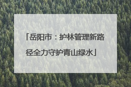 岳阳市：护林管理新路径全力守护青山绿水
