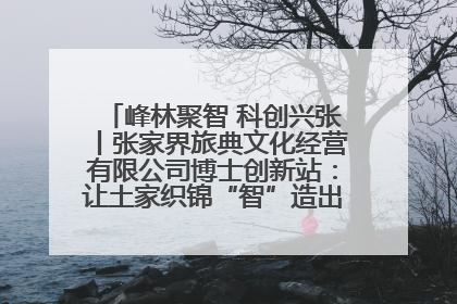 峰林聚智 科创兴张丨张家界旅典文化经营有限公司博士创新站：让土家织锦“智”造出非遗新传奇