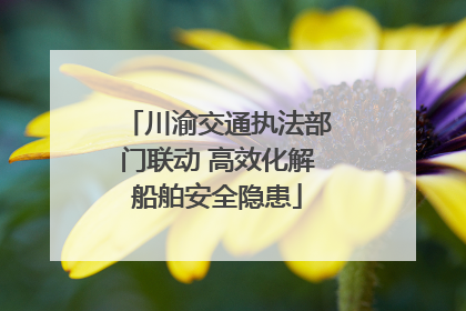 川渝交通执法部门联动 高效化解船舶安全隐患