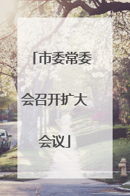 市委常委会召开扩大会议