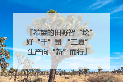 希望的田野智“绘”好“丰”景 “三夏”生产向“新”而行