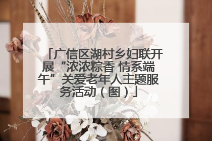 广信区湖村乡妇联开展“浓浓粽香 情系端午”关爱老年人主题服务活动（图）