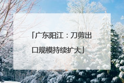 广东阳江：刀剪出口规模持续扩大