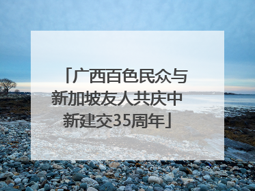 广西百色民众与新加坡友人共庆中新建交35周年