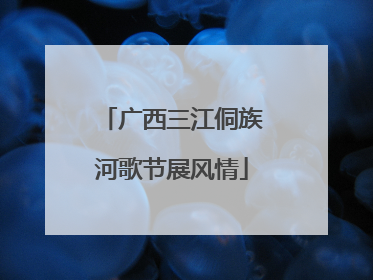 广西三江侗族河歌节展风情