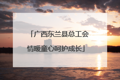 广西东兰县总工会情暖童心呵护成长