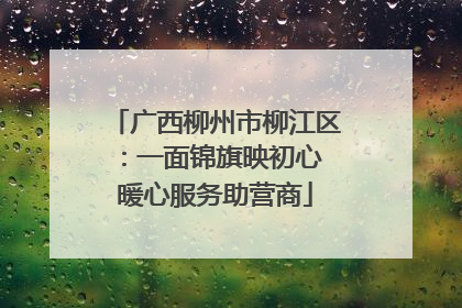 广西柳州市柳江区：一面锦旗映初心 暖心服务助营商