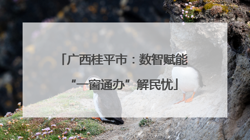 广西桂平市：数智赋能“一窗通办”解民忧