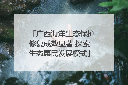 广西海洋生态保护修复成效显著 探索生态惠民发展模式