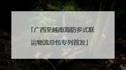 广西至越南海防多式联运物流总包专列首发