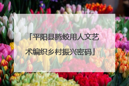平阳县腾蛟用人文艺术编织乡村振兴密码