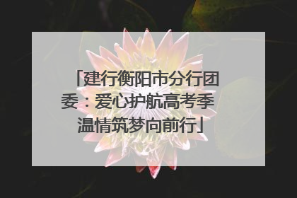 建行衡阳市分行团委：爱心护航高考季 温情筑梦向前行