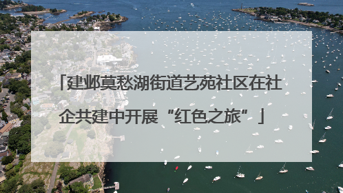 建邺莫愁湖街道艺苑社区在社企共建中开展“红色之旅”